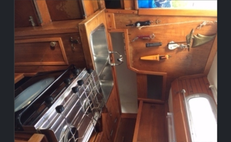 Laurin Koster 31-kuva-6